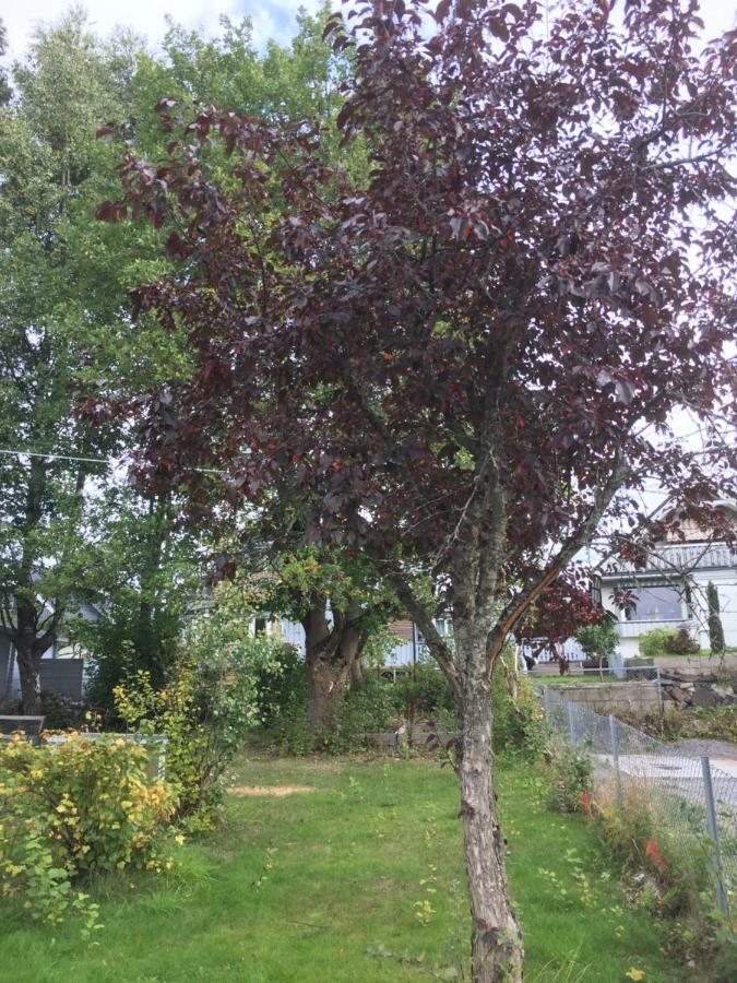 Skarer Veie 58 Apartman Lorenskog Kültér fotó